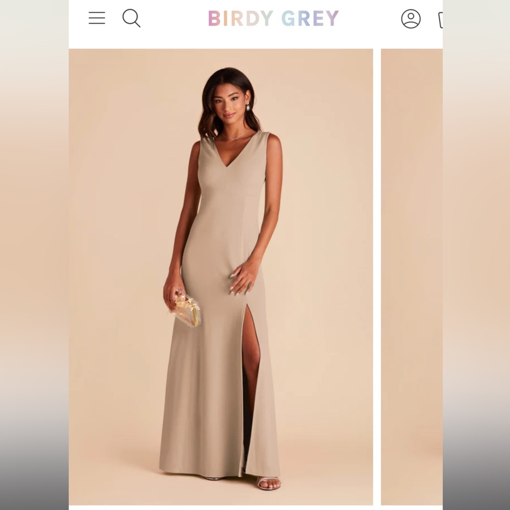 Birdy Grey Shamin Dress Taupe Crepe V Neck Slit Like New!